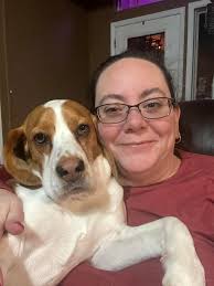 Missing Dog Zeus in Bella Vista