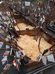 You might have heard about them in passing, but weren't sure about what they are. Bare Root Season Is Here The Best Time To Buy And Plant A Deciduous Fruit Tree Is Now Greg Alder S Yard Posts Southern California Food Gardening