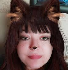 Anyone else start with a fibromyalgia diagnosis and it actually be  something else? I'm not convinced this is it! I'm sick all the time, my  immune system is shot, idk what to