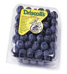 1 pint fresh blueberries equals 2 cups. Blueberry 1 Pint Turks And Caicos Grocery Delivery Turks And Caicos Grocery Delivery Tci Online Food Store