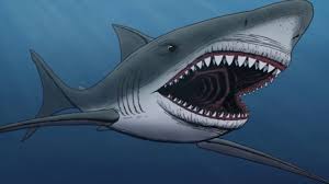 Megalodon En Buyuk Kopek Baligi Turu Youtube