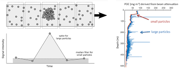 Because of their larger cell size, eukaryotic cells require this system to transport materials that cannot be dispersed by diffusion alone. Frontiers Sinking Organic Particles In The Ocean Flux Estimates From In Situ Optical Devices Marine Science