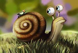 Sigue acá caracol en vivo. Artstation Ilustracao Caracol Alisson Leite