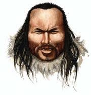 DNA secrets of the ice hair