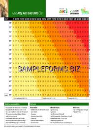 Adult Body Mass Index Bmi Chart Pdf Free 2 Pages