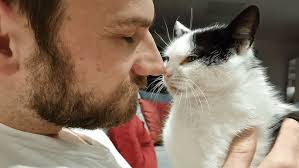 The snuggly Tuxedo Kitty, Marshall!