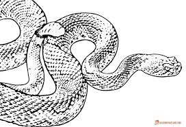 Snake Coloring Pages Free Downloadable And Printable Sheets Snake Coloring Pages Coloring Pages Color Explore 623989 free printable coloring pages for you can use our amazing online tool to color and edit the following snake coloring pages realistic. snake coloring pages free