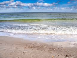 Wie funktioniert die japanische wasserkur? Einfach Und Perfekt Die Japanische Wasserkur Jungbrunnen Gesundheit