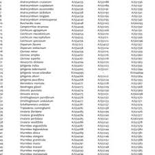 Image result for Camptorrhiza strumosa
