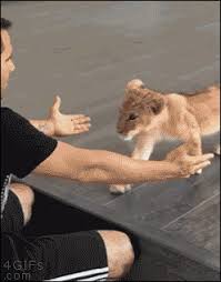 Birds With Human Arms Gif Https Encrypted Tbn0 Gstatic Com Images Q Tbn 3aand9gcqfadw1nb8mitorueqk0sm3sl35ediqxar3ta Usqp Cau