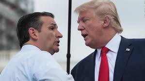 Cruz warns: If Trump wins Iowa he might be 'unstoppable'