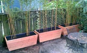 The stained finish with black matte frames will not only block the view but also add the touch of elegance to any space. 10 Bamboo Landscaping Ideas Garden Lovers Club