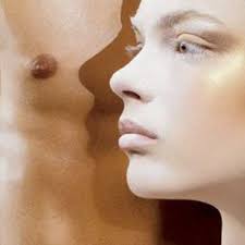 Mac Store Carroll Gardens, Brooklyn, NY 11231