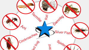 Has been added to your cart. Bug B Gone Pest Control Pest Control Service