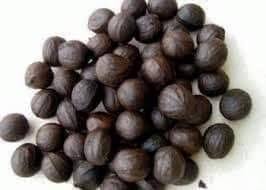 Image result for Coula edulis