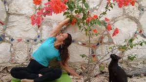 Maybe you would like to learn more about one of these? Coronavirus Nj Virtual Yoga Classes By Nj Studios On Zoom Youtube