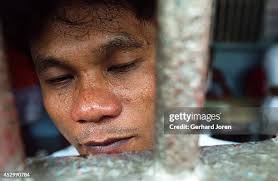 139 Roberto Lara Photos & High Res Pictures