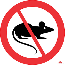 Image Result For No Mice Allowed Sign Signs Retail Logos Image