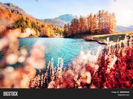 | meaning, pronunciation, translations and examples. Picturesque View On Image Photo Free Trial Bigstock