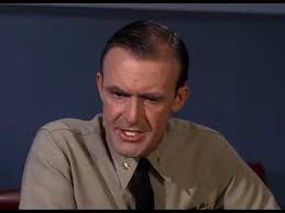 Gomer Pyle: USMC" Gomer, the Welsh Rarebit Fiend (TV Episode 1967)