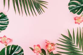 Creative Border From Flowers Palm Leaves On Pink Background In 2020 Aesthetic Desktop Wallpaper Laptop Wallpaper Desktop Wallpapers Pink Background