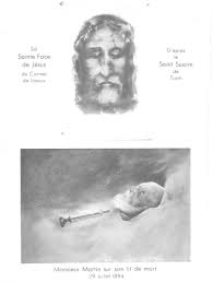 A Father And Mother More Worthy Of Heaven Than Of Earth The Promotion Of The Cults Of Louis And Zelie Martin By The Carmel Of Lisieux 1897 1959 Deboick 2018