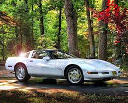 Image result for Arctic White 1994 Corvette