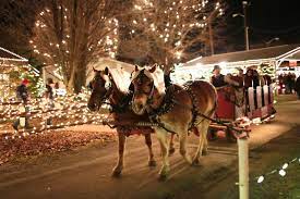 Check spelling or type a new query. Christmas Light Displays In Pittsburgh 2020 Southwestern Pa Guide