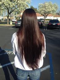 Rich Dark Chocolate Brown Hair Long Healthy Hair Long Hair Styles Dark Chocolate Brown Hair Long Brown Hair