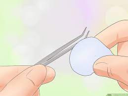 You do not want to go with nail or cuticle scissors which can do the job but open up the risk of injury with their sharp ends. 3 Ways To Trim Nose Hair Wikihow