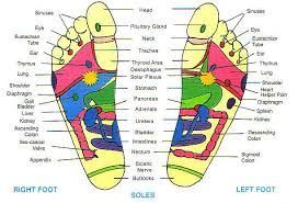 reflexology kinesiology natural healing reiki