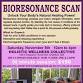 Bioresonance Scan with Alida Dunn event image
