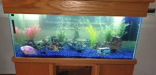 300litre Tank Blue Substrate Stones Fish Tank Substrate Tank