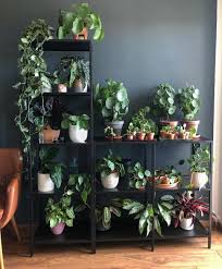 Pin By Lorraine Smith On Home Decoration Ideas Room With Plants House Plants Indoor Indoor Plants
