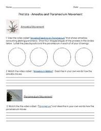 This Student Worksheet Uses Video Links From Teachertube And Youtube To Allow Students To See The Movement Of Two Ty Movement This Or That Questions Protists