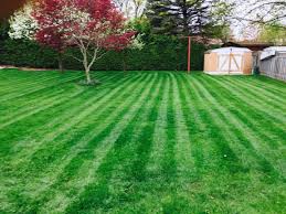 Danny's lawncare service llc has backyard landscaping contractors who offer lawn care, lawn fertilizing, and lawn edging. Green Ninja Lawn Care Property Maintenance In London