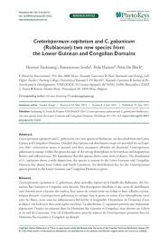 Image result for Craterispermum