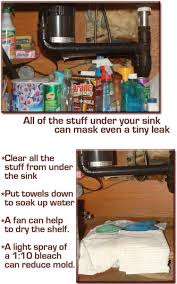 garbage disposal vibration leak