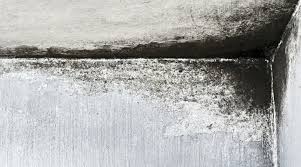 Marie sees a consistent amount of rainfall throughout the entire year. Michigan Basement Waterproofing Foundation Repair Wet Basements Crawl Space Waterproofing Basement Waterproofing Contractors In Grand Rapids