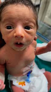 & ᏚᎻᎬ ᏚᎬXY ᏚᎻᎬ ᏩᎾᎢ ᎻᎪ FᎬᎪᎢᏌᎡᎬᏚ🍫💜.