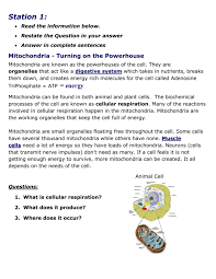 4 cellular respiration the process of cell catabolism in which cells turn food into usable energy in the form of atp. Cellular Respiration Stations
