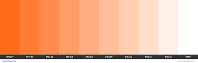 Convert rgb color named bright orange to hex, pantone, hsl, hsv, hsb, json. Tints Xkcd Color Bright Orange Ff5b00 Hex Color Palette Bright Vermilion Color Pumpkin Colors