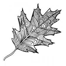 Hand Drawn Black And White Autumn Leaf Hand Drawn Black Png And Vector With Transparent Background For Free Download Leaf Illustration Autumn Art Fall Arts And Crafts