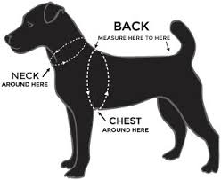Chest measurement is taken from the widest part of the dog's chest behind the forelegs. How To Measure Your Dog For Clothing They Made Me Wear It