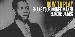 SHAKE YOUR MONEY MAKER (ELMORE JAMES)