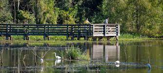 Maybe you would like to learn more about one of these? Brazos Bend State Park Texas Parks Wildlife Department
