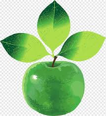 Maybe you would like to learn more about one of these? Apple Green Vecteur Apple Hijau Daun Apel Hijau Buah Png Pngwing