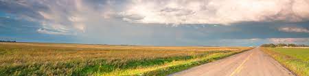 Cbc saskatchewan news june 18, 2021. Saskatchewan Government Insurance Linkedin