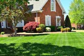 Local lawns need customized care to look their best. Elkhart Lawn Services Elkhart Lawn Mowing Grass Guru