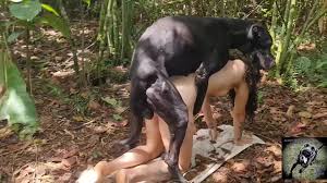 Closeups Compilation